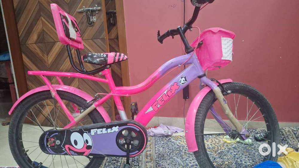 Felix Pink Bicycle