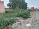 Plot 1000 sq ft