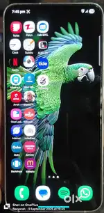 Samsung S24