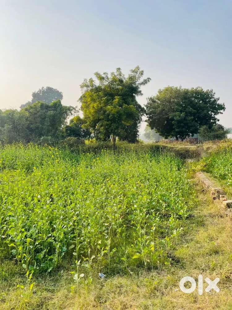 Best plot for family aadha Bissau plot sell kar raha hu