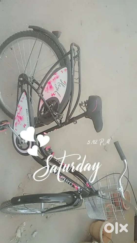 Lady bird cycle