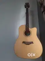 Tansen Guitar