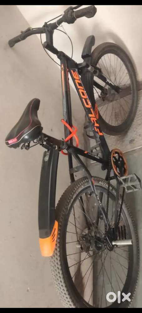 Cycle of falcon company