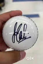 Cricket msd sign ball