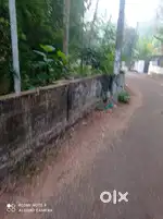 6 cent land  240000  per cent, Mala Pallipuram.