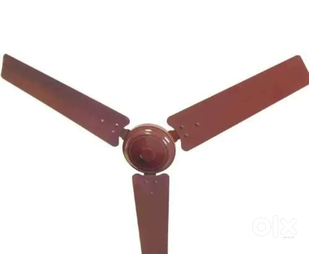 Ceiling fan