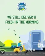 Milk Delivery boy