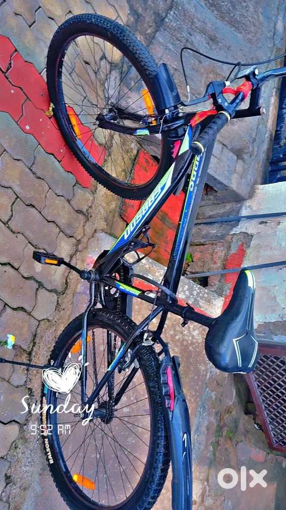 ADDO CARSON CYCLE
