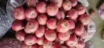 Onions shop work