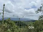 5 ACRE MIXED CULTIVATION LAND FOR SALE IN VALAD