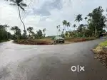 PAZHAMTHOTTAM PALLIKKARA 10/15/20 CENT PLOTS INFOPARK KAKKANAD 9 KM