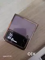 Flip 4 with purple colour
