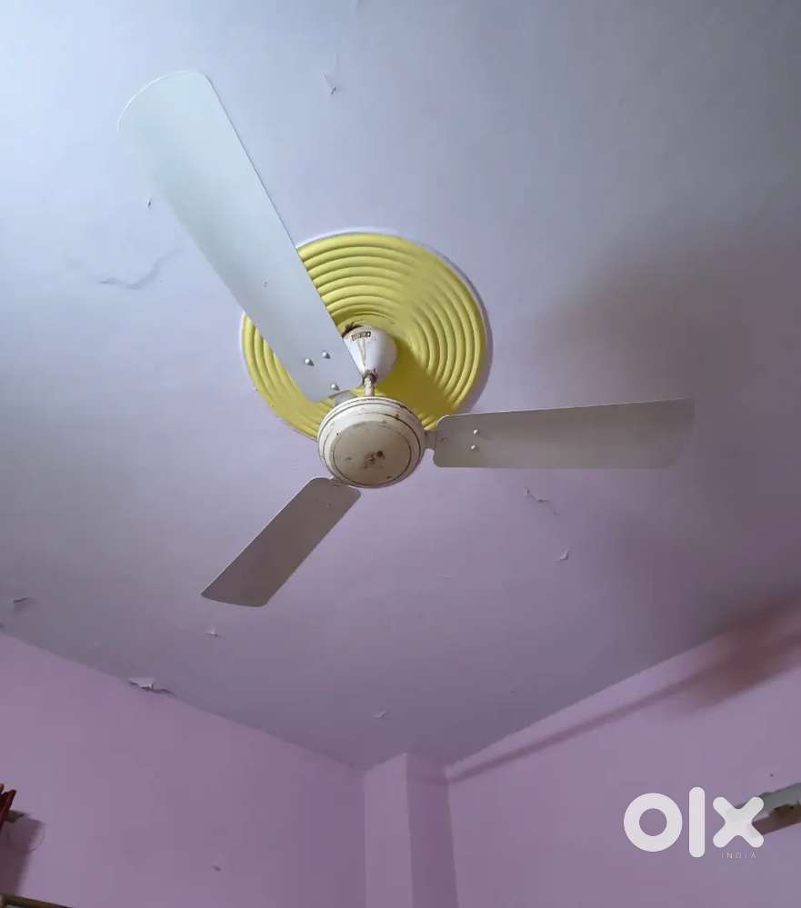 Copper Winding Ceiling Fan