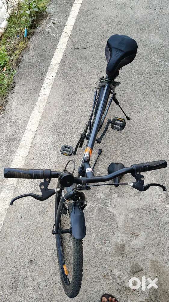 Rock rider