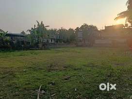 2.5 kotha Plot( Land 4 Sale:Gojpuria Gaon,Nimati Rd, Jorhat@2350000 L)