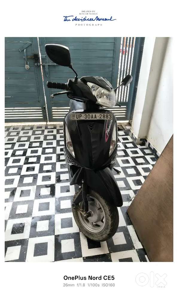 10 year old pleasure in mint state ready for sale
