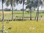 House for rent in prakash nagr