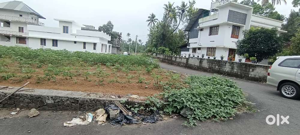 ANGAMALY THURAVOOR JUNCTION 5,6,8, 10 CENT PLOTS AVAILABLE