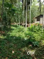 land near sreekrishnapuram SBI  1. 25 lakh per cent