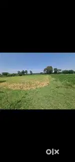 Farm land for sale in Hosur Thally road