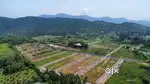 BEST INVESTMENT PLOTS AVILABLE IN BODDAM JUNCTION