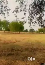 Plot kalwar  Jaipur