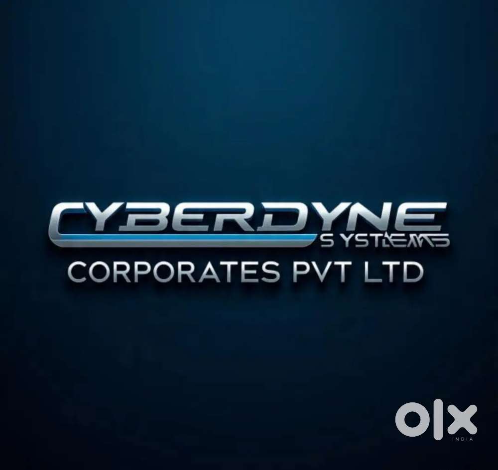 Accounting data entry