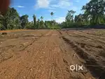 Residential Plots For Sale At Changanassery Near CNK Hospital