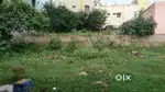 Shastri Colony