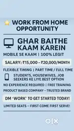 Work from home for, students house wife job person