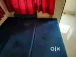 Sofa cum Bed