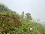 Land for sale in vilpatti kodaikanal covers 180 degree views