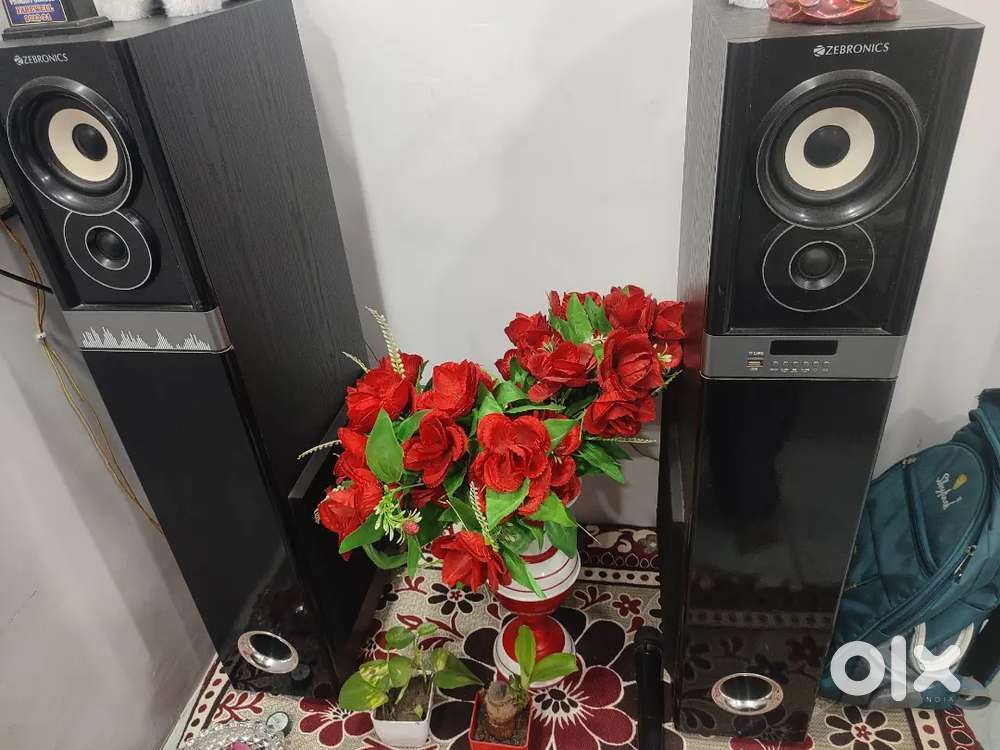 Home Theater, Zebronic Company