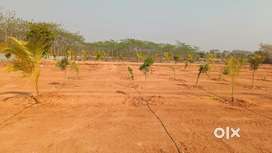 35 Kms From Uppal Metro Station Farm Land Plots For Sale in BIBINAGAR