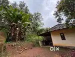 A small old house and apartment