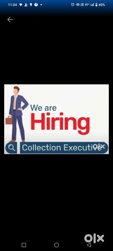 COLLECTION EXECUTIVE