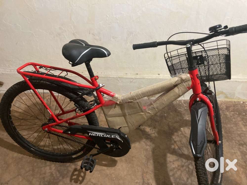Modern cycle with back seat as well as basket