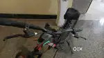 Leader cycle only 2 month old