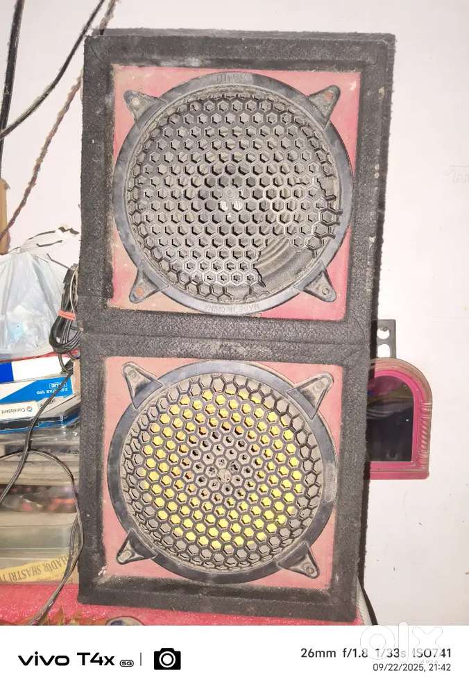 Speaker with amplifier