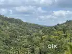 2acre parambe for sale near karipode