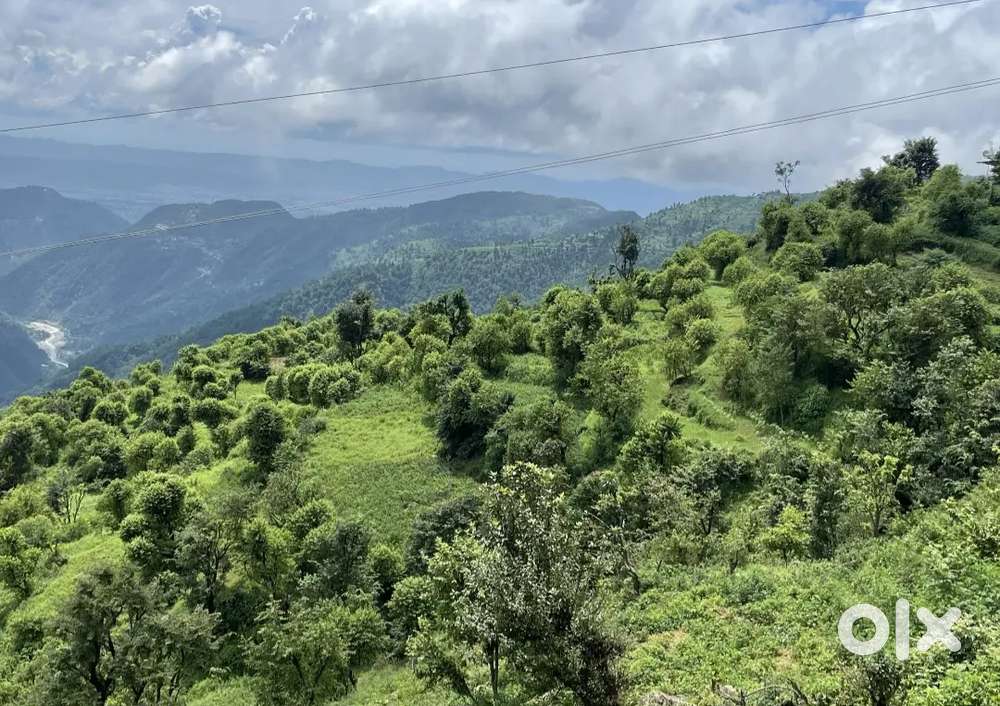 5 bigha land available in sarona