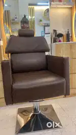 Saloon chair and bed