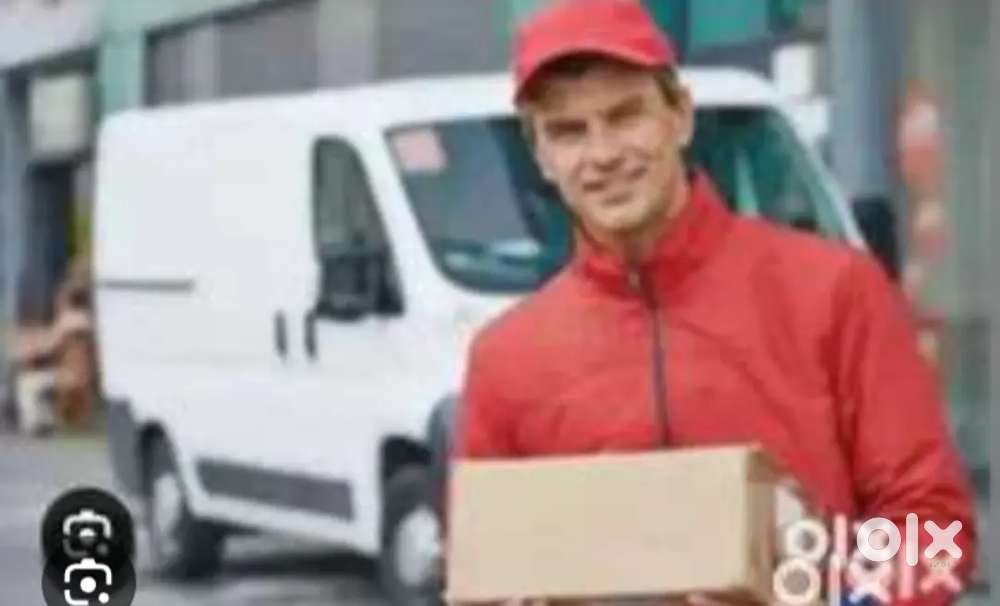 Parcel Van helper