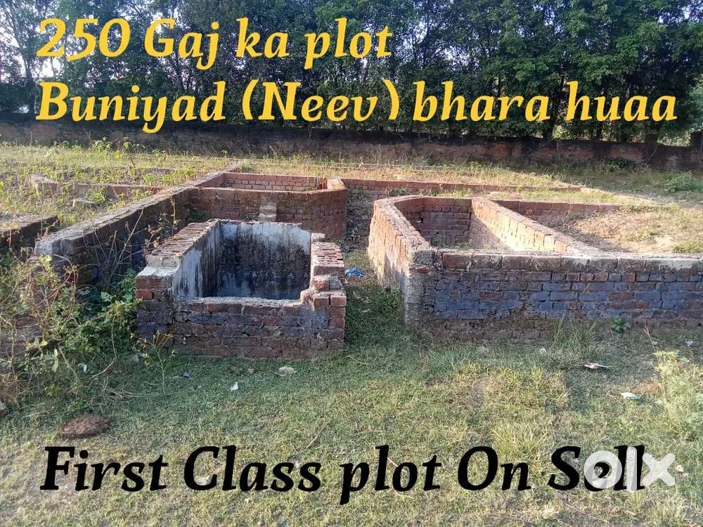 Plot first class 250 gaj buniyad bhara huaa on sell