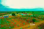 Sampangi Bio farm land