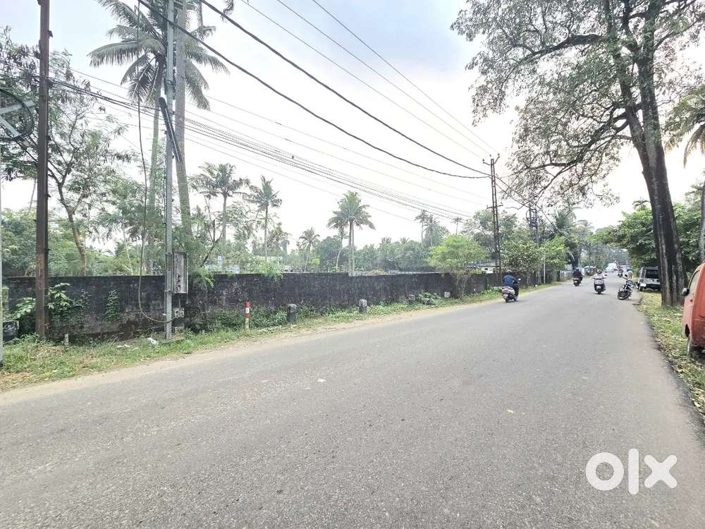 95 CENT ORGINAL LAND IN NORTH PARAVUR VAZHIKULANGARA N-H JUST 300 MTR
