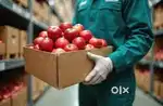 Wanted warehouse packing staffs [ night / day ]