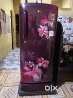 Best freez
