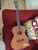 Orangewood dana M  (3/4)