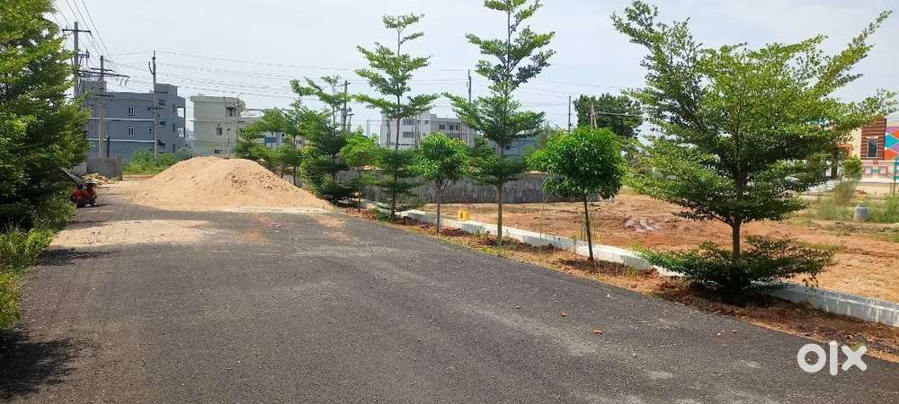 Plots Sales @ Peddapuram